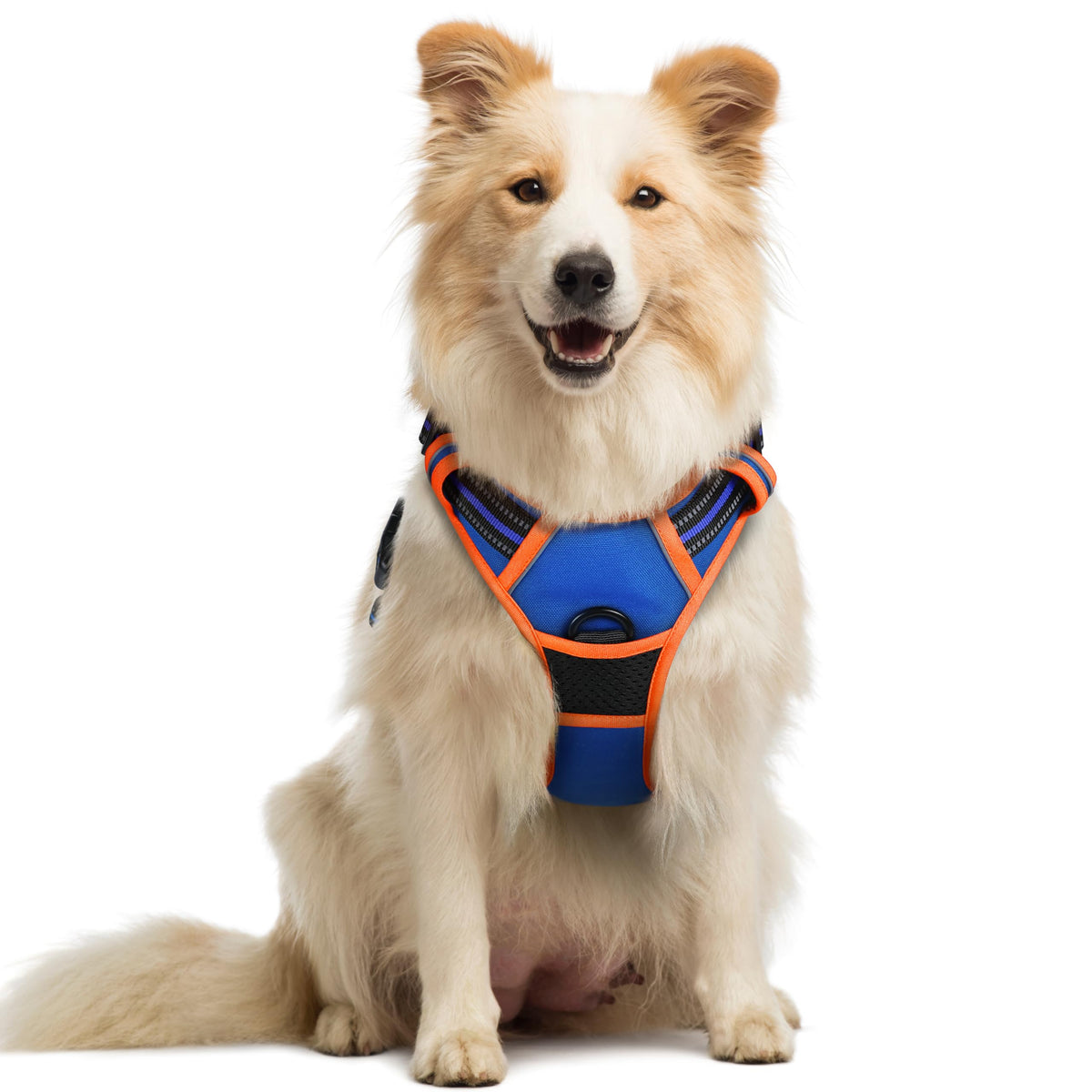 rabbitgoo Dog Harness No Pull with 2 Leash Clips, Adjustable Soft Padded, Reflective Oxford No Choke Pet Vest with Easy Control Handle for Large Dogs