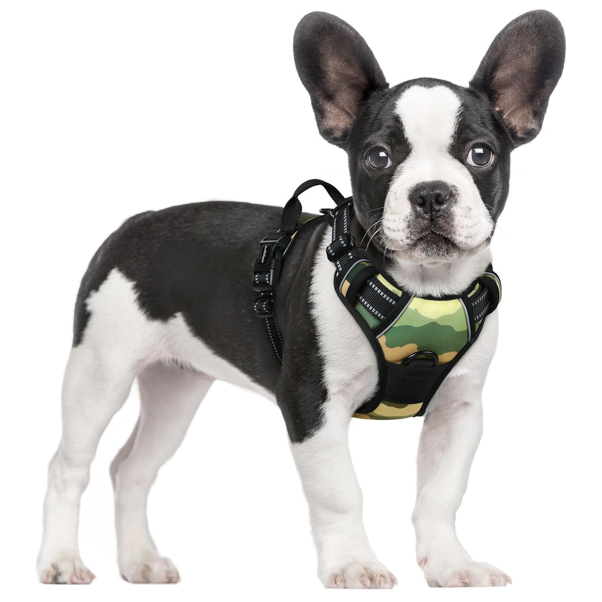 rabbitgoo Dog Harness No Pull with 2 Leash Clips, Adjustable Soft Padded, Reflective Oxford No Choke Pet Vest with Easy Control Handle for Large Dogs