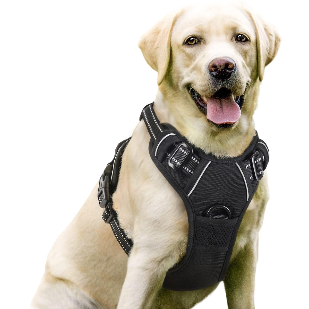 rabbitgoo Dog Harness No Pull with 2 Leash Clips, Adjustable Soft Padded, Reflective Oxford No Choke Pet Vest with Easy Control Handle for Large Dogs