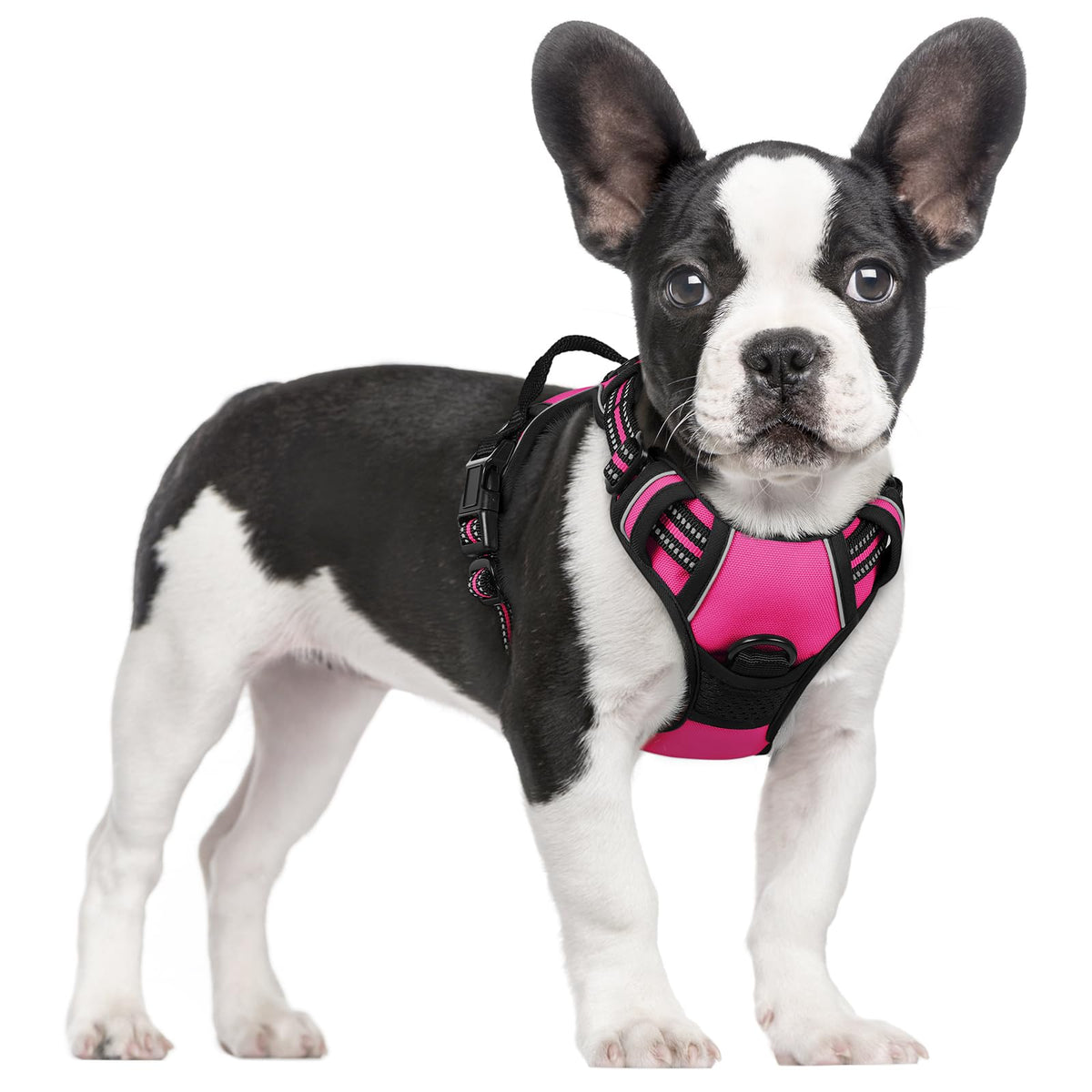 rabbitgoo Dog Harness No Pull with 2 Leash Clips, Adjustable Soft Padded, Reflective Oxford No Choke Pet Vest with Easy Control Handle for Large Dogs