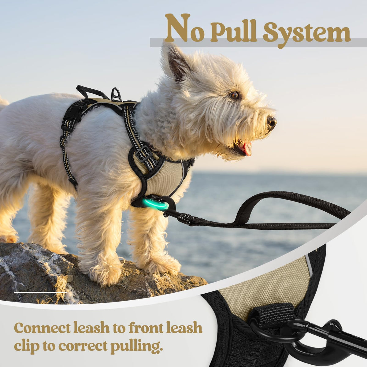 rabbitgoo Dog Harness No Pull with 2 Leash Clips, Adjustable Soft Padded, Reflective Oxford No Choke Pet Vest with Easy Control Handle for Large Dogs