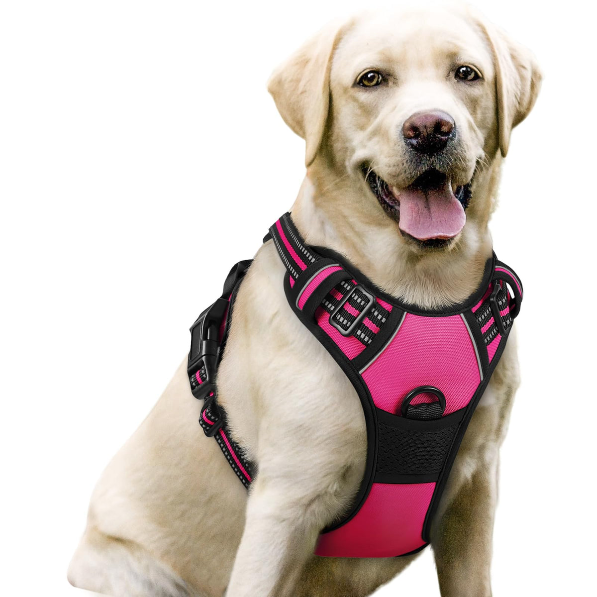 rabbitgoo Dog Harness No Pull with 2 Leash Clips, Adjustable Soft Padded, Reflective Oxford No Choke Pet Vest with Easy Control Handle for Large Dogs