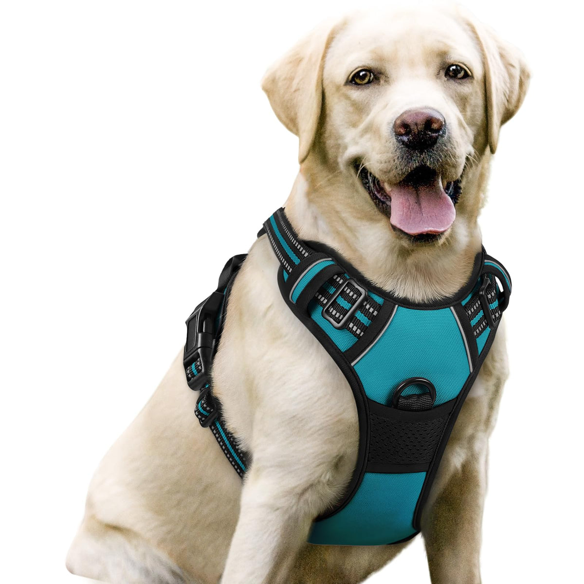 rabbitgoo Dog Harness No Pull with 2 Leash Clips, Adjustable Soft Padded, Reflective Oxford No Choke Pet Vest with Easy Control Handle for Large Dogs
