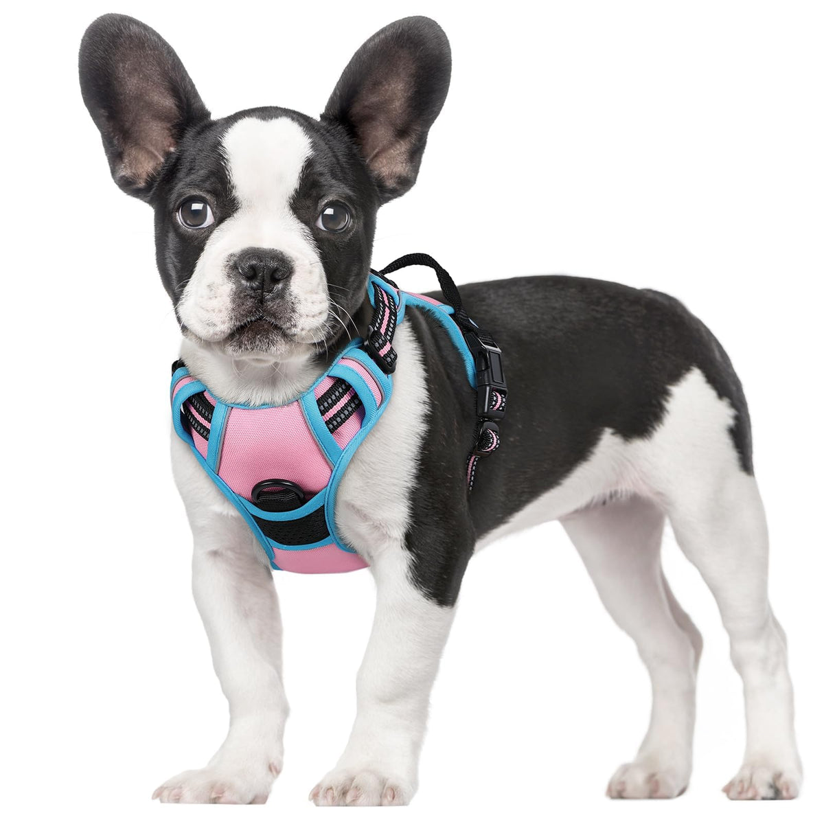 rabbitgoo Dog Harness No Pull with 2 Leash Clips, Adjustable Soft Padded, Reflective Oxford No Choke Pet Vest with Easy Control Handle for Large Dogs