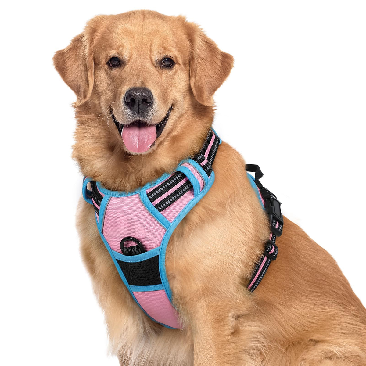 rabbitgoo Dog Harness No Pull with 2 Leash Clips, Adjustable Soft Padded, Reflective Oxford No Choke Pet Vest with Easy Control Handle for Large Dogs