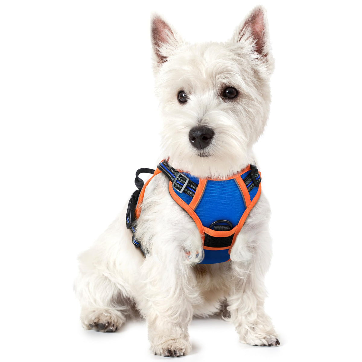 rabbitgoo Dog Harness No Pull with 2 Leash Clips, Adjustable Soft Padded, Reflective Oxford No Choke Pet Vest with Easy Control Handle for Large Dogs