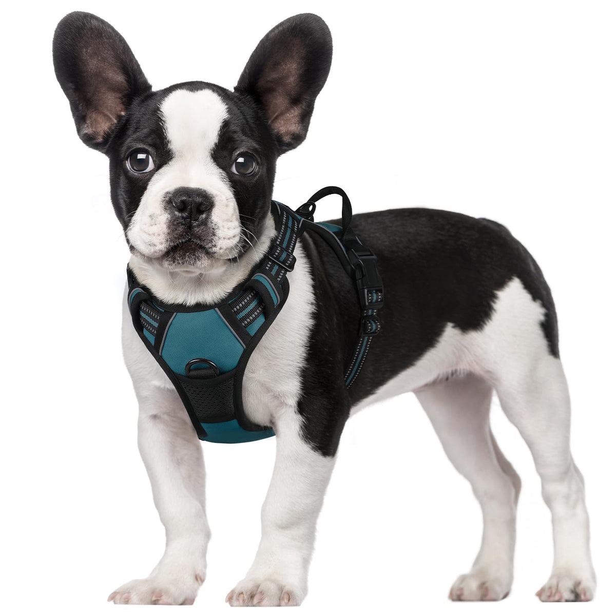 rabbitgoo Dog Harness No Pull with 2 Leash Clips, Adjustable Soft Padded, Reflective Oxford No Choke Pet Vest with Easy Control Handle for Large Dogs