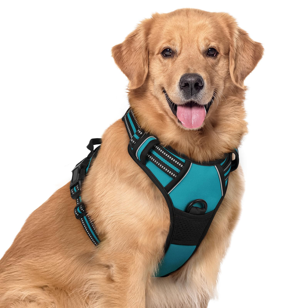 rabbitgoo Dog Harness No Pull with 2 Leash Clips, Adjustable Soft Padded, Reflective Oxford No Choke Pet Vest with Easy Control Handle for Large Dogs