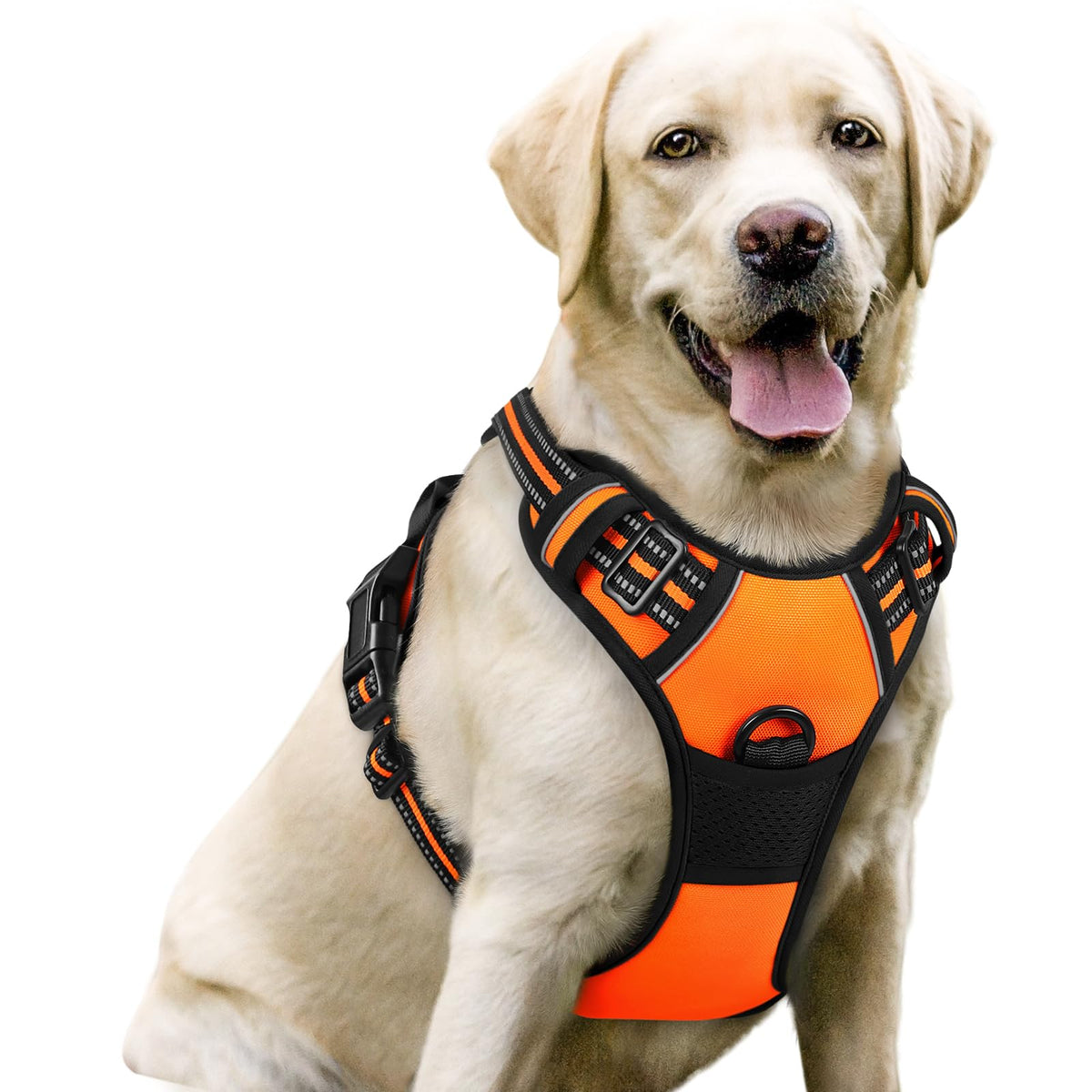rabbitgoo Dog Harness No Pull with 2 Leash Clips, Adjustable Soft Padded, Reflective Oxford No Choke Pet Vest with Easy Control Handle for Large Dogs
