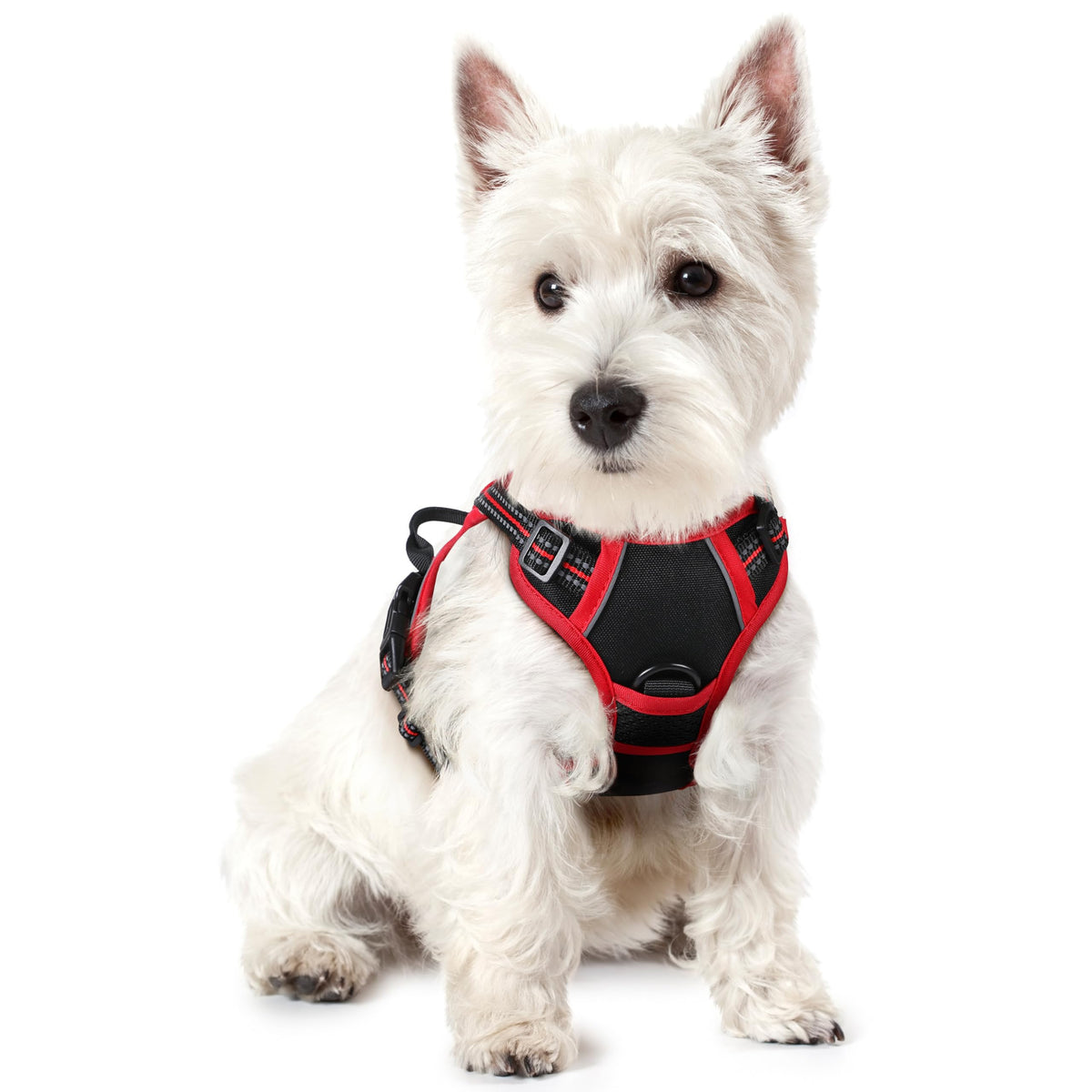 rabbitgoo Dog Harness No Pull with 2 Leash Clips, Adjustable Soft Padded, Reflective Oxford No Choke Pet Vest with Easy Control Handle for Large Dogs