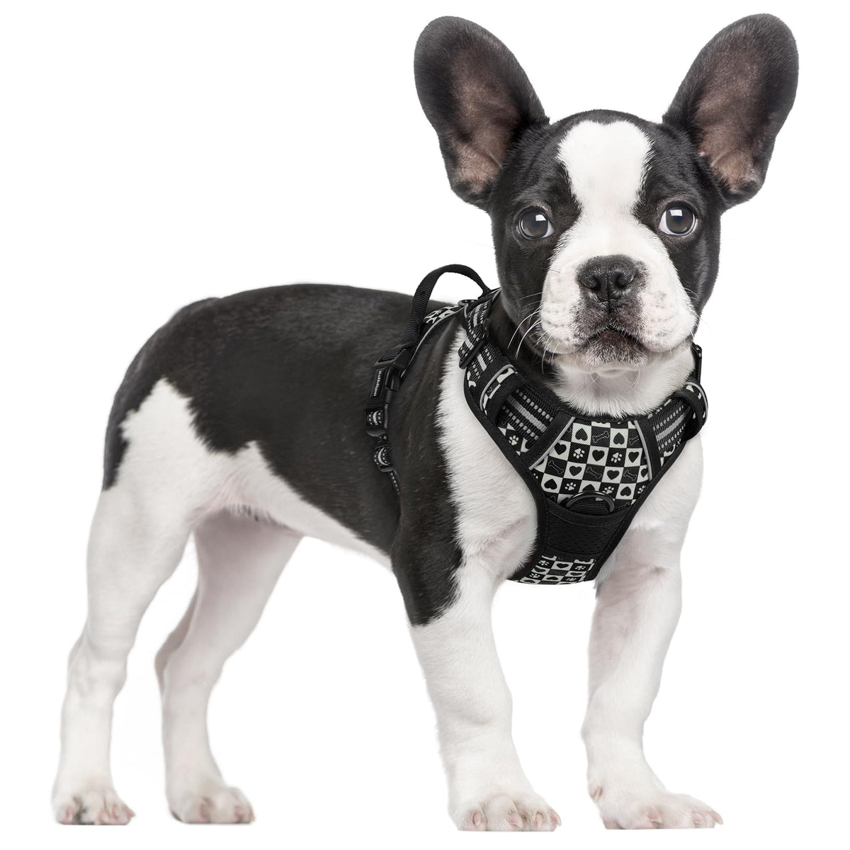 rabbitgoo Dog Harness No Pull with 2 Leash Clips, Adjustable Soft Padded, Reflective Oxford No Choke Pet Vest with Easy Control Handle for Large Dogs