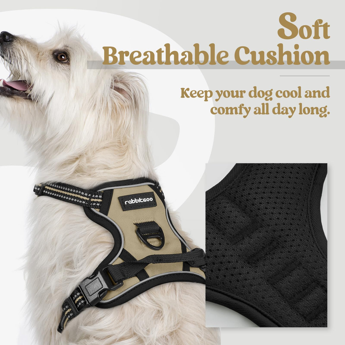 rabbitgoo Dog Harness No Pull with 2 Leash Clips, Adjustable Soft Padded, Reflective Oxford No Choke Pet Vest with Easy Control Handle for Large Dogs