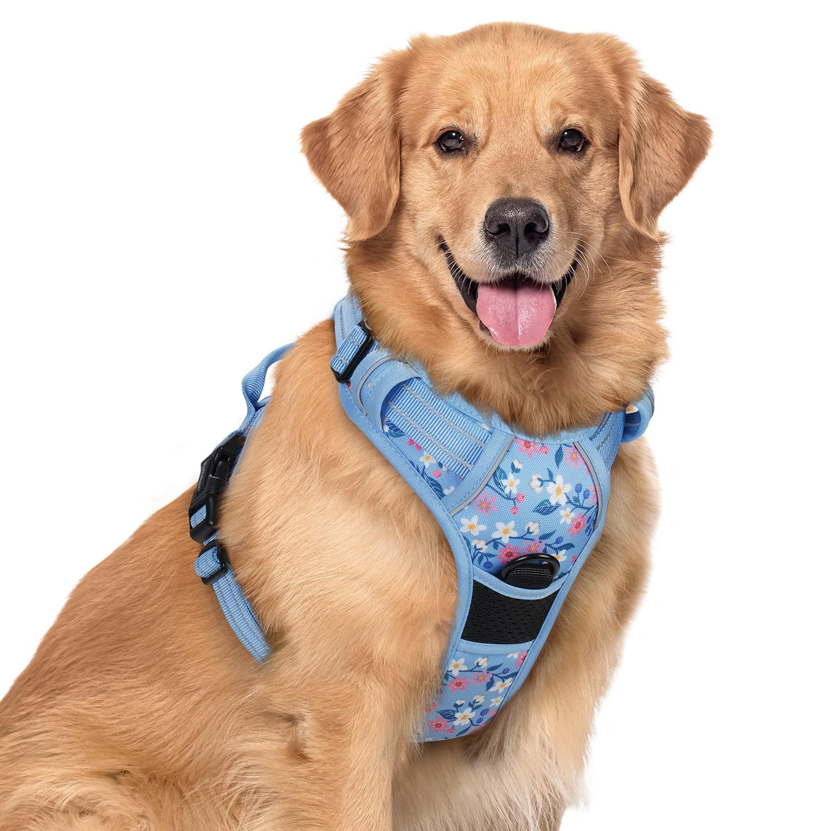 rabbitgoo Dog Harness No Pull with 2 Leash Clips, Adjustable Soft Padded, Reflective Oxford No Choke Pet Vest with Easy Control Handle for Large Dogs