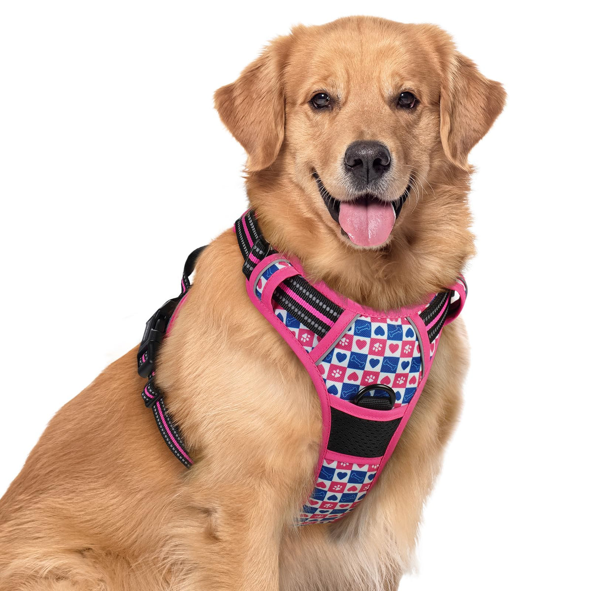 rabbitgoo Dog Harness No Pull with 2 Leash Clips, Adjustable Soft Padded, Reflective Oxford No Choke Pet Vest with Easy Control Handle for Large Dogs