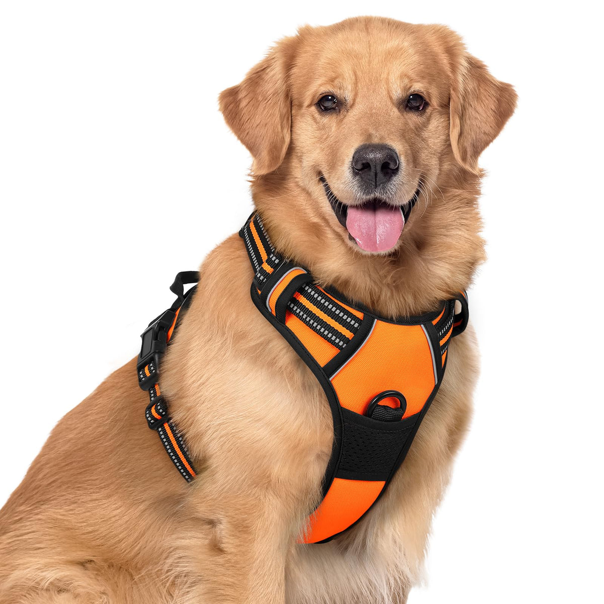 rabbitgoo Dog Harness No Pull with 2 Leash Clips, Adjustable Soft Padded, Reflective Oxford No Choke Pet Vest with Easy Control Handle for Large Dogs - Sasa