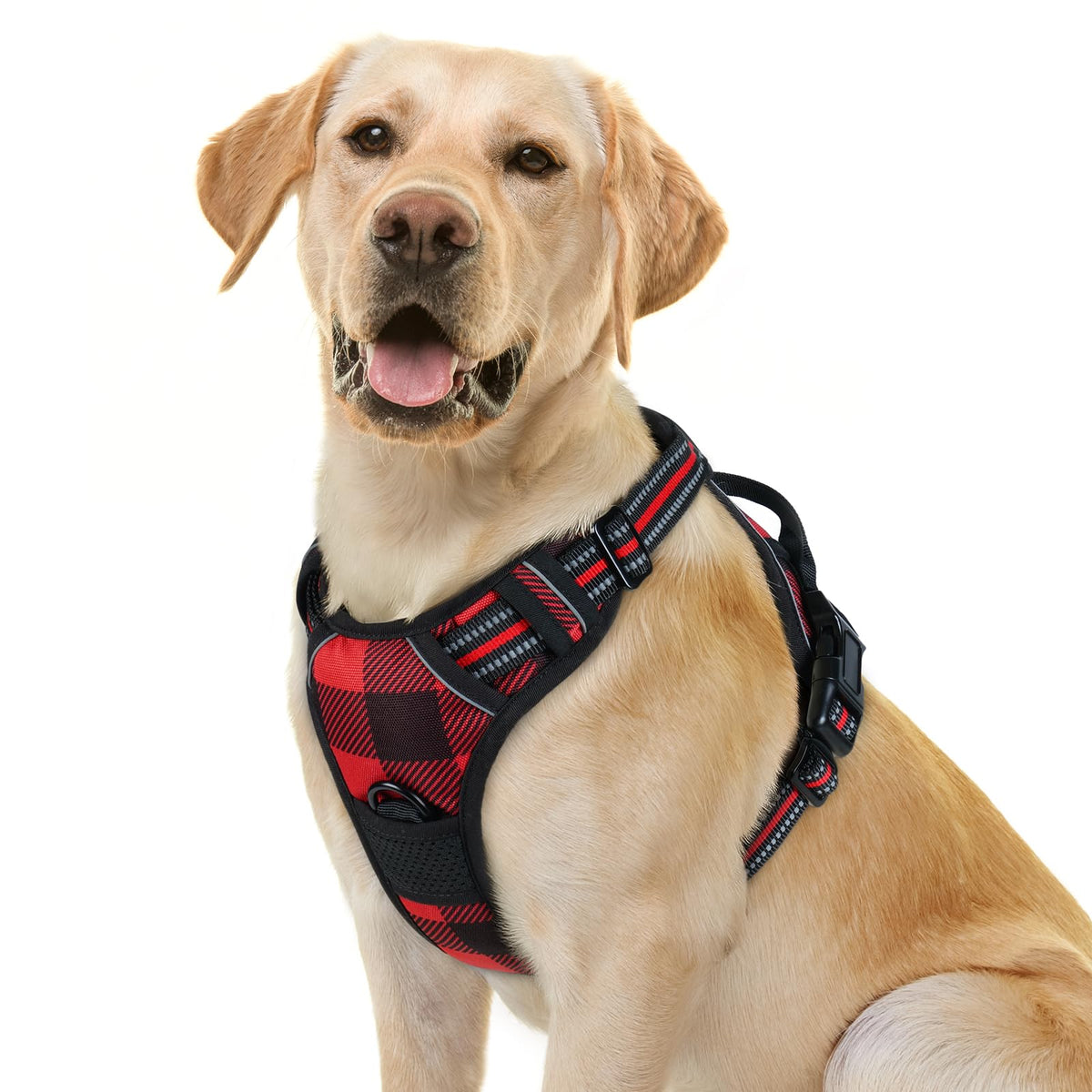 rabbitgoo Dog Harness No Pull with 2 Leash Clips, Adjustable Soft Padded, Reflective Oxford No Choke Pet Vest with Easy Control Handle for Large Dogs - Sasa