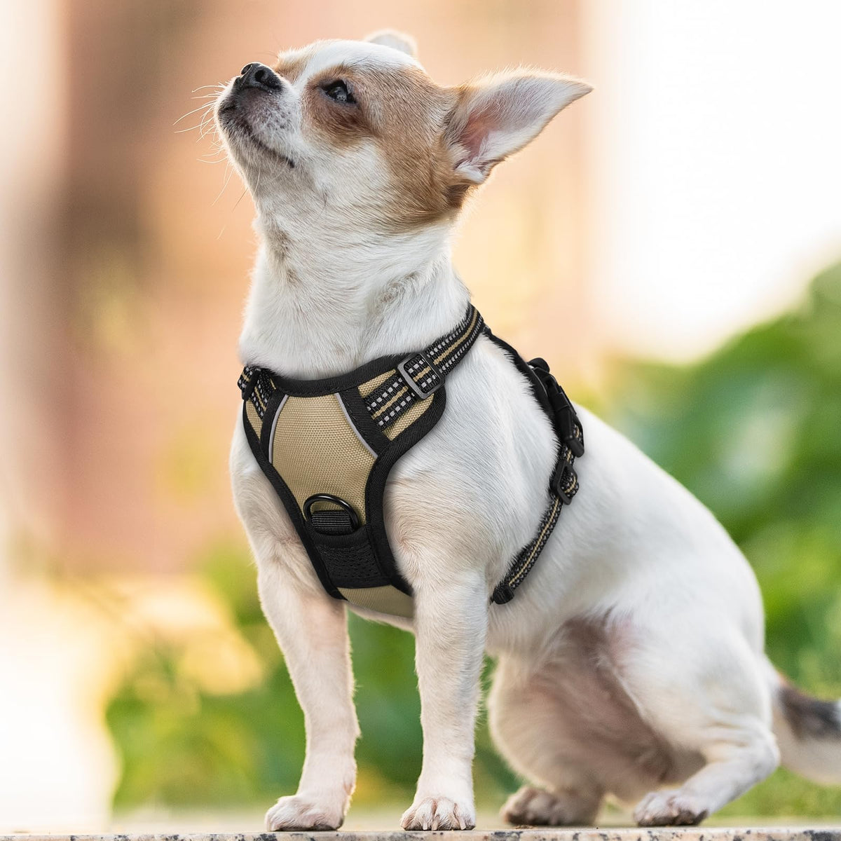 rabbitgoo Dog Harness No Pull with 2 Leash Clips, Adjustable Soft Padded, Reflective Oxford No Choke Pet Vest with Easy Control Handle for Large Dogs - Sasa