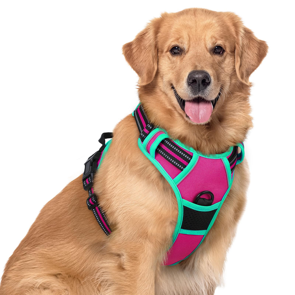 rabbitgoo Dog Harness No Pull with 2 Leash Clips, Adjustable Soft Padded, Reflective Oxford No Choke Pet Vest with Easy Control Handle for Large Dogs - Sasa